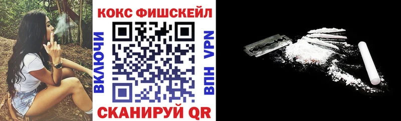 COCAIN Fish Scale  где продают наркотики  Ефремов 