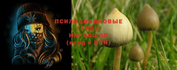 каннабис Беломорск