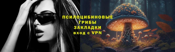 дживик Белоозёрский