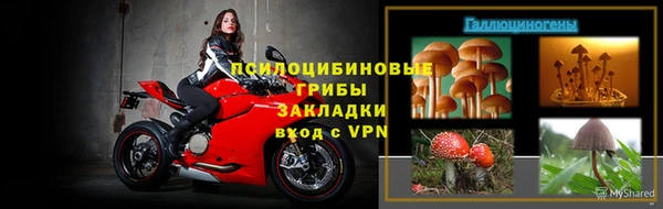 дживик Белоозёрский