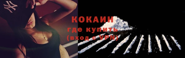 дживик Белоозёрский
