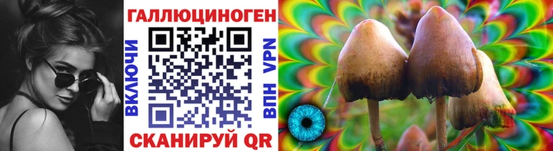 Псилоцибиновые грибы Magic Shrooms  hydra вход  Ефремов  наркотики 